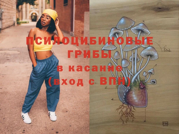 круглые Карпинск