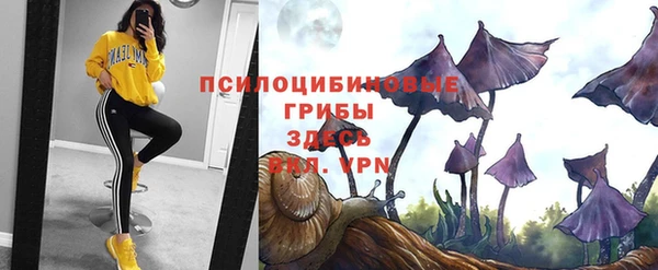 синтетический гашиш Касимов