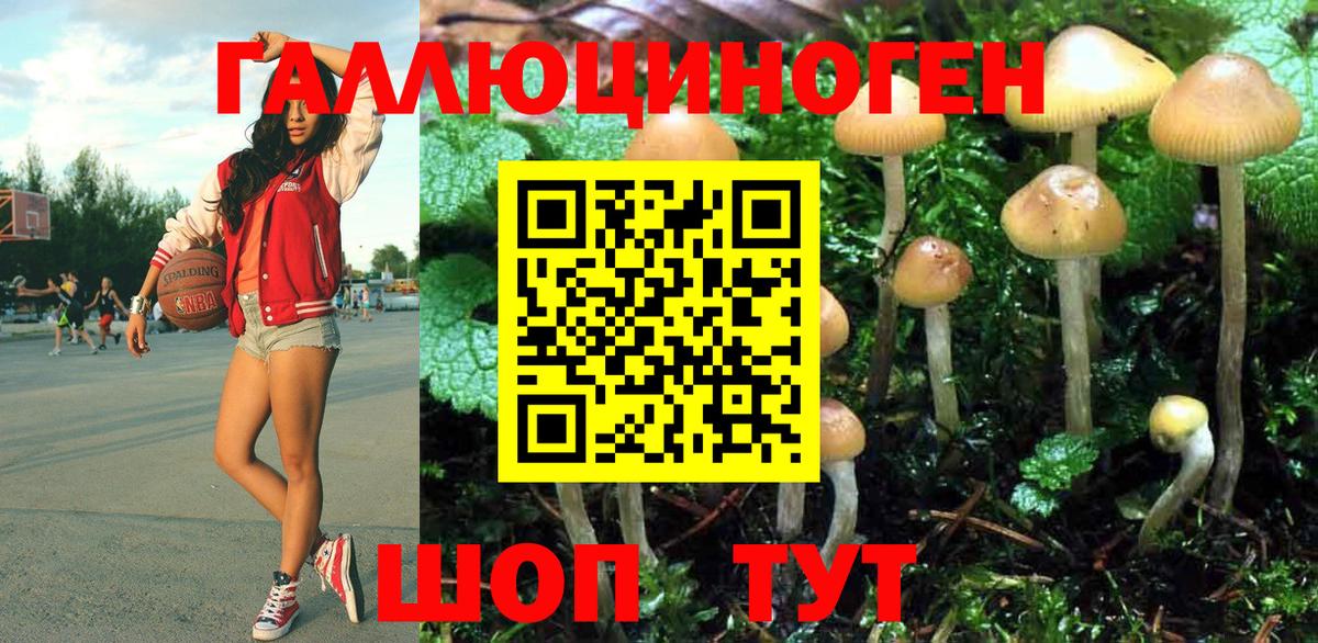 Кузнецк  Псилоцибиновые грибы прущие грибы  Вход с VPN 
